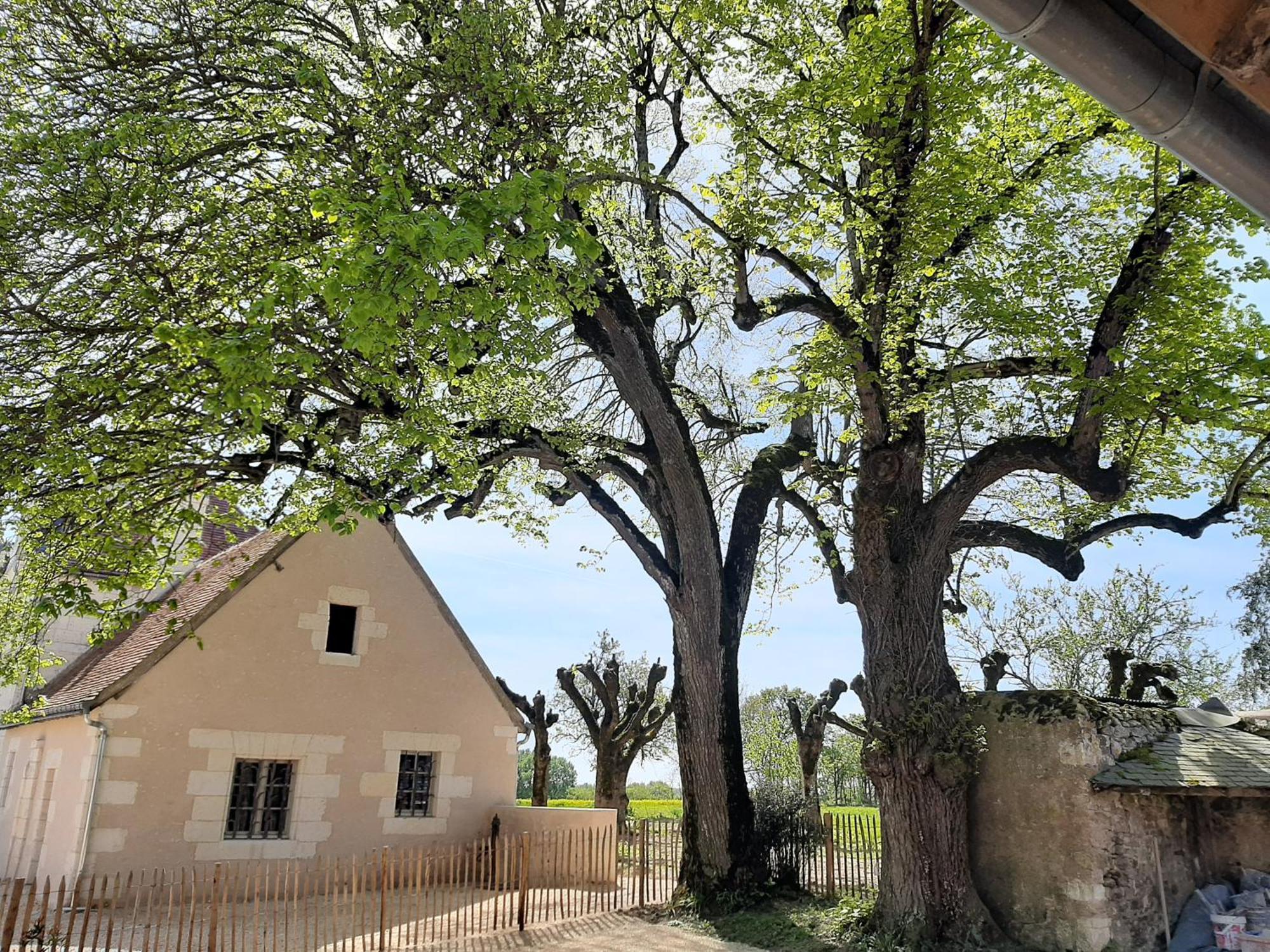Le Puits Renaissance - Gites De Caractere Et Piscine Chauffee Chambourg-sur-Indre Exterior foto